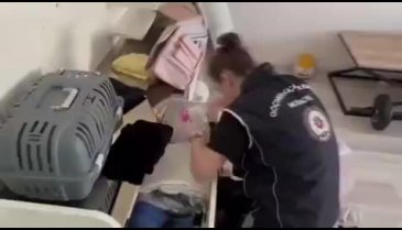 Bir haftada 2 bin 563 düzensiz göçmen yakalandı!