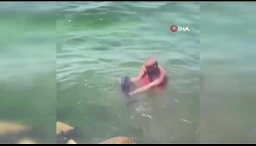 Bursa'da yunus balığı balıkçıların ağına takıldı