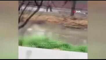 Bursa'da suyun üstünde ceset bulundu!