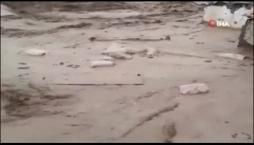 Ağrı'da yıldırım düşmesi sonucu çoban yaralandı
