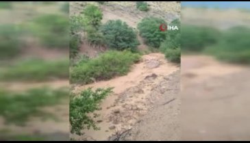 Elazığ'da sağanak yağış etkili oldu: Dereler taştı