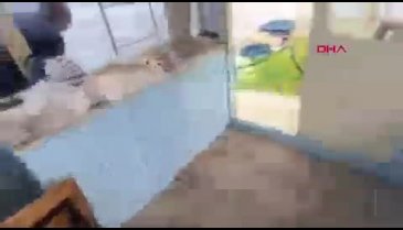 Çanakkale Gökçeada açıklarında Yunan botu Türk teknesine saldırdı