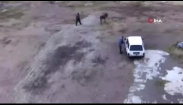 Çiftliği basıp, eşeği bıçaklayarak, atları zehirleyerek öldürdüler