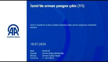 İzmir'de orman yangını: Tahliyeler başladı