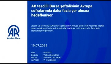 Ünlü Bursa şeftalisi Avrupa sofralarında daha fazla yer alacak