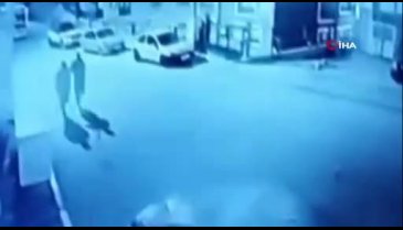 Köpeğe sopalarla saldıran baba ve oğul serbest bırakıldı