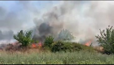 Bursa'da ormanlık alanda yangın!