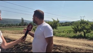 Bursa'da ormanlık alanda yangın!
