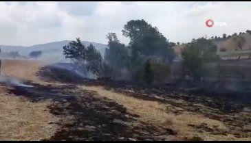 Bolu'da evin bahçesinde çıkan yangın, tarlaya sıçradı