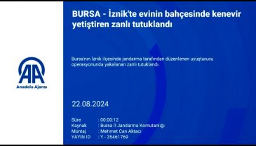 Bursa'da ahırda uyuşturucu yetiştirmeye çalıştı, yakalandı