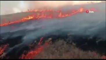 İtfaiye erleri yangından kurtardığı kaplumbağaya su verdi