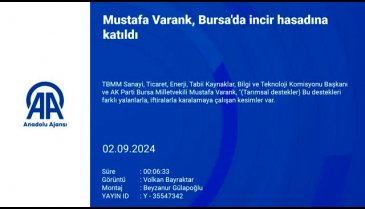 AK Parti&nbsp;Bursa&nbsp;Milletvekili Mustafa Varank,&nbsp;Bursa'da incir hasadına katıldı