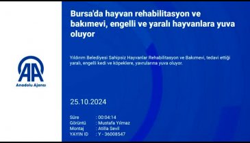 Bursa'da hayvan rehabilitasyon ve bakımevi engelli ve yaralı hayvanlara yuva oluyor