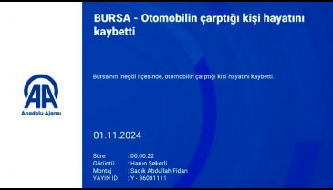 Bursa'da otomobilin çarptığı kişi hayatını kaybetti