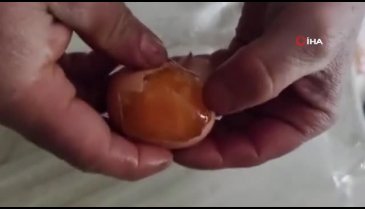 Elazığ'da yumurtalar soğuktan dondu
