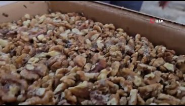 Bursa'da da şubesi var! Ünlü baklavacıda mide bulandıran skandal...