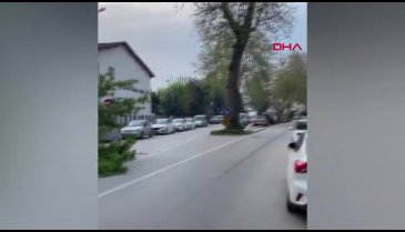 Bursa'da kırılan dal korku yarattı