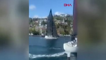 Otobüs şoförü, yola çıkan boğanın saldırısına uğradı; o anlar kamerada