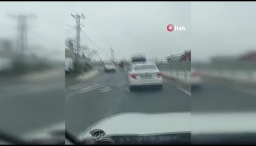 İlginç görüntü: Deve kaçtı, sahibi kovaladı