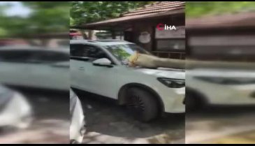 Bursa'da öğretmenevinde korkutan anlar!