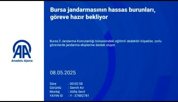Bursa jandarmasının hassas burunları, göreve hazır bekliyor