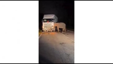 Gecenin karanlığında kahreden görüntü!