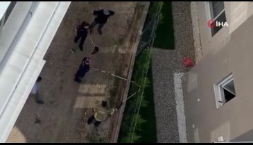 Bursa'da ortaya çıkmaya başladılar! Deprem habercisi mi?