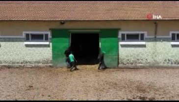 Bursa'da yetişip ülkeye nam salıyorlar! Her biri servet değerinde...