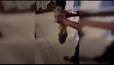 Bursa'nın denizinde bereket var! Yakalananlar arasında en büyüğü