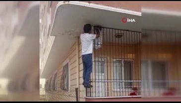 Arılara fısıldayan adam! Onu sokmuyorlar...