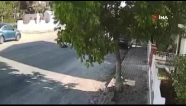 Otobüs şoförü sokak köpeğini ezdi