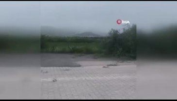 Bursa'da yer yerinden oynadı! Kökünden söküldü...