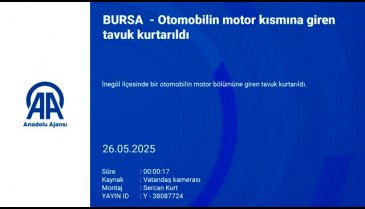 Bursa'da otomobilin kaputunu açınca gördüklerine inanamadı!
