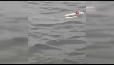 Bursa'da korkunç manzara: Kıyıya ceset vurdu!