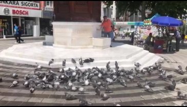 Bursa'nın sıcağında iç serinleten olay! Görenleri tebessüm ettirdi