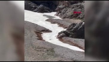 Bozayı yavru dağ keçisini avladı; o anları Bursalı fotoğrafçı görüntüledi