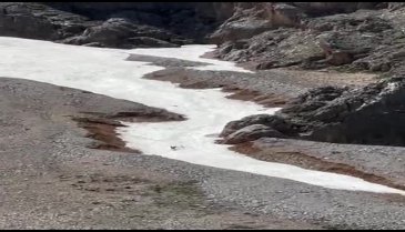 Bursalı fotoğrafçıdan harika görüntüler! O anları yakaladı