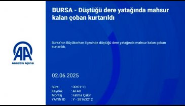Bursa'da çoban mahsur kaldı!