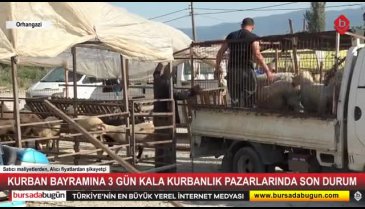 Bayrama sayılı günler kala kurban pazarlarında son durum! Bursada Bugün piyasanın nabzını tuttu...