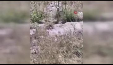 Bursa'ya flaş uyarı: Sakın yaklaşmayın! Zehirliler...