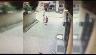 Küçük çocuk Pitbull cinsi köpekten zor kurtuldu