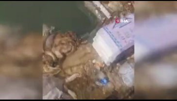 Vatandaşlar bu görüntüye isyan etti! Sulama kanalları doldu taştı