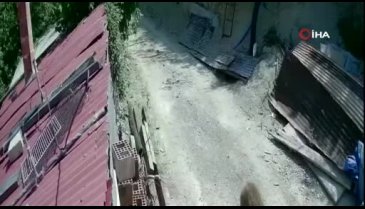 Mahalleye inen ayının rahatlığı kamerada!