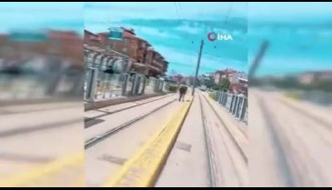 Tramvay durağında at şaşkınlığı! Görenler anlam veremedi...
