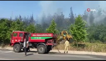 Çanakkale'de orman yangını: Havadan ve karadan müdahale sürüyor