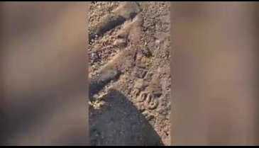 Artık coştular: Kene resmen bir vatandaşı kovaladı!