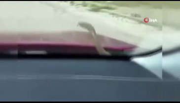 Kabus Türkiye'nin dört bir yanında devam ediyor! Yolculuğu viral oldu