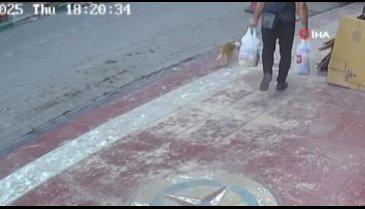 Yürekleri ısıtan görüntü! Kediye Heimlich manevrası yaparak hayatını kurtardı