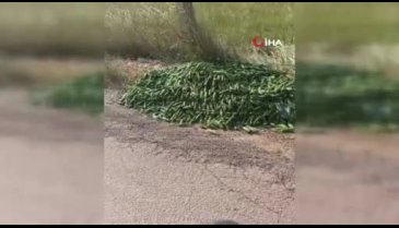 Sokağa attılar! "Bu ne rezilliktir?"
