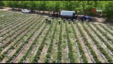 Elmas değerinde! Bursa'dan 4 ülkeye ihracat